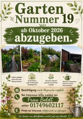 2026-08/garten-19